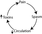 Pain Cycle Chart chart showing circular progression from pain to spasm, leading to decreased circulation and increases in toxins