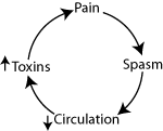 chart showing circular progression from pain to spasm, leading to decreased circulation and increases in toxins